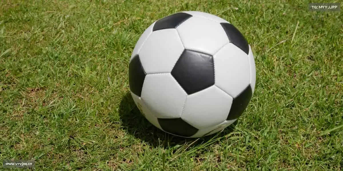 米兰无论输赢，上场就是英雄！👑